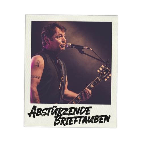 Konzertfoto Abstürzende Brieftauben live in Kiel - Fabian Lippke Konzertfotograf Kiel