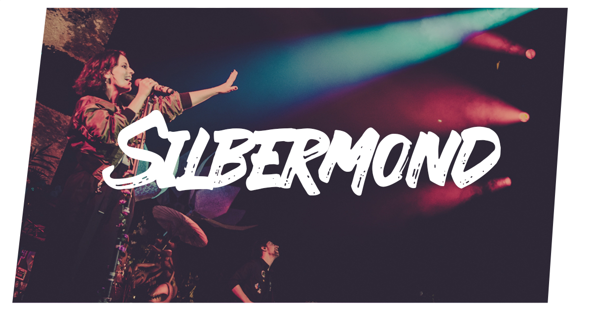 Mehr über den Artikel erfahren Silbermond live in Hamburg