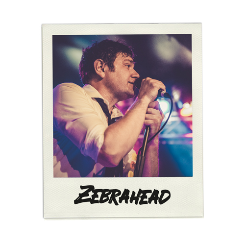 Konzertfoto Zebrahead live in Kiel - Fabian Lippke Konzertfotograf Kiel