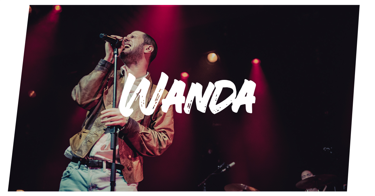 Read more about the article Konzertfotos: Wanda live in Hamburg